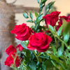 Lavish Romantic Roses